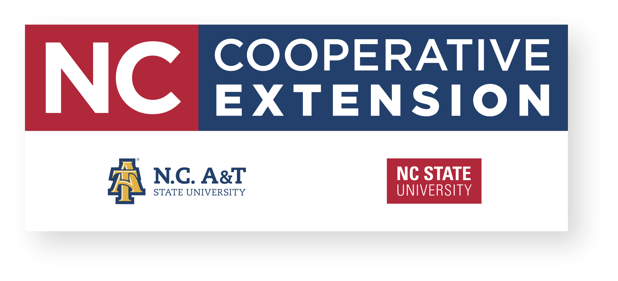 Center IC Logo